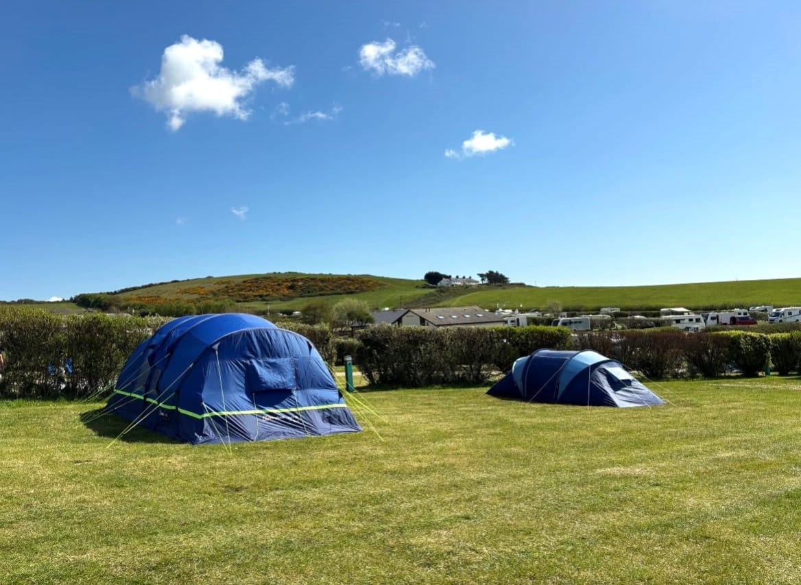 Grass Electric Pitch image