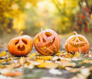 The best pumpkin patches in the UK