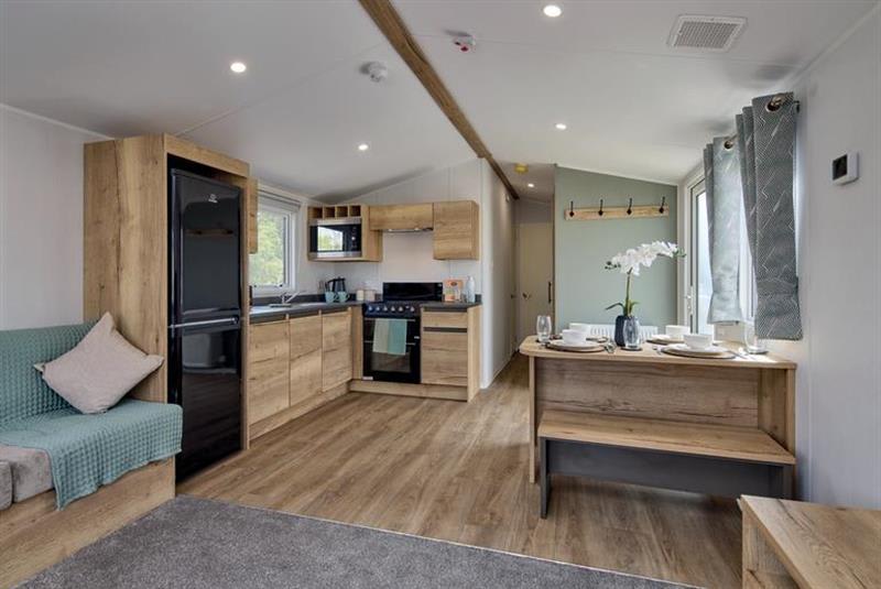 Ellerton Extra image