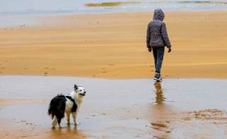 Chapel St Leonards Beach image