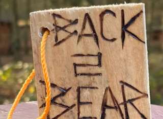Back 2 Bear image