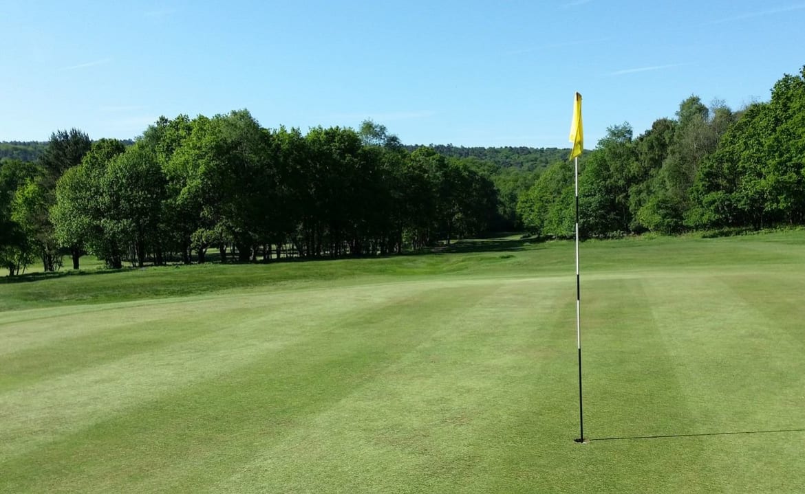 Brokenhurst Manor Golf Club image