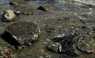 Charmouth Heritage Coast Centre image