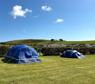 Grass Electric Pitch image