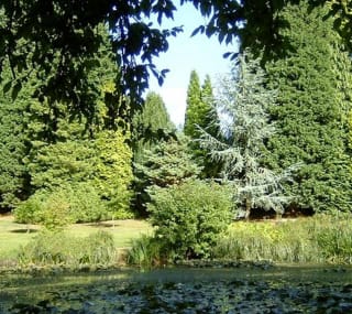 Furzey Gardens image