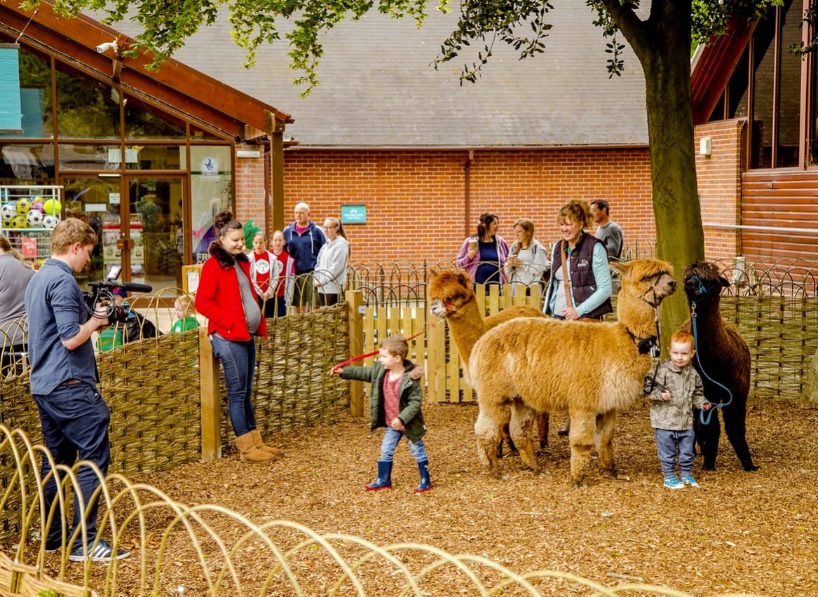 Alpaca Keeper image