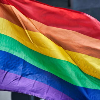 Pride Month:  A Guide to LGBTQ+ Pride Flags and Their Meanings image