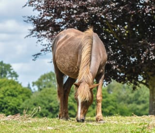13 best coastal walks in Hampshire