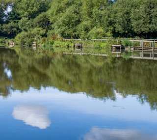 Fishing at Woodland Lakes image