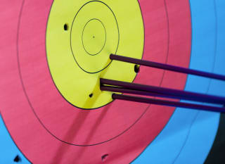 Target Archery image