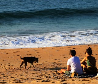 Fun things to do in Cornwall for adults