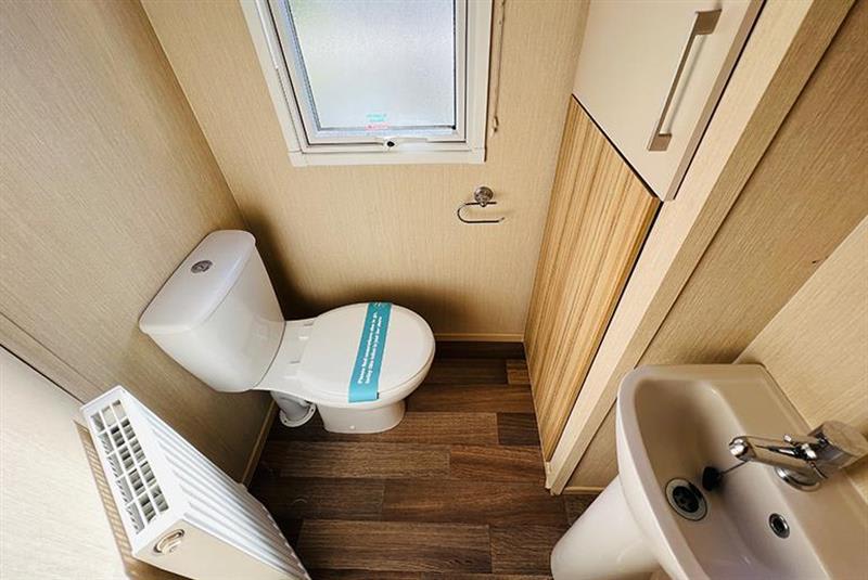 Summer Breeze Deluxe image