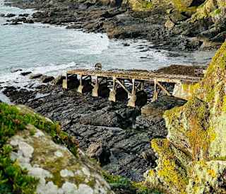 The best guide to Lizard Point