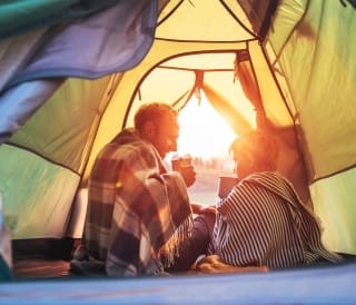 New Forest Camping Guide