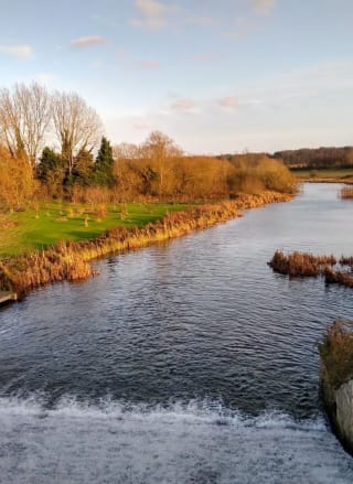 11 Clumber Park walks in Nottinghamshire