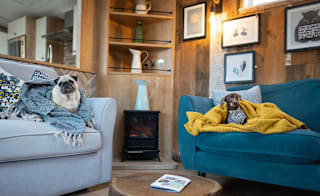 Two small dogs sitting on the sofas in our of our exclusive accommodations, the Knightwood. image