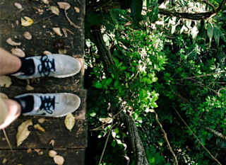 Go ape sherwood image