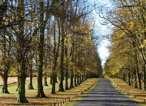 Clumber park, national trust image