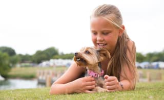 Doggy welcome packs image
