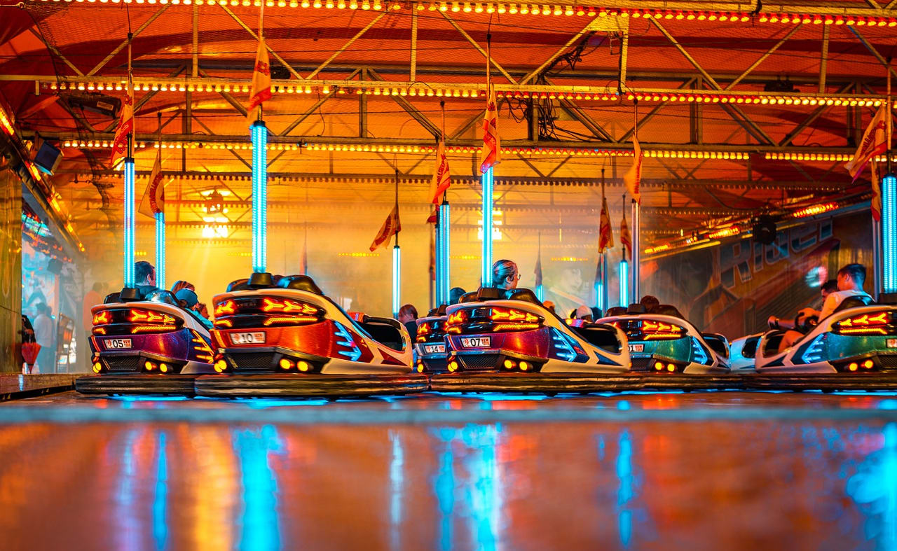 Flamingo Land Theme Park & Zoo image