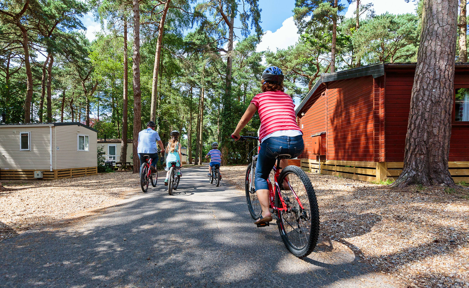 A young family are out cycling on the paths of our holiday park of Sandy Balls, Hampshire. image