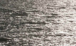 Canvey Island Beach image