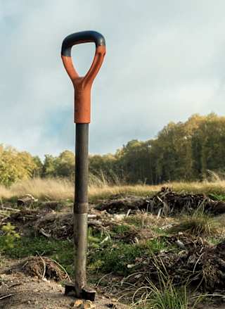 Planting UK trees