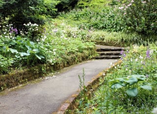 Trerice House and Gardens image