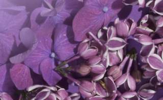 Gift vouchers image