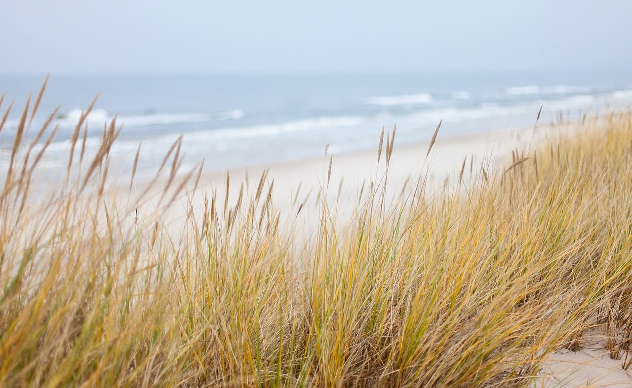 Porthdinllaen, Llyn Peninsula image