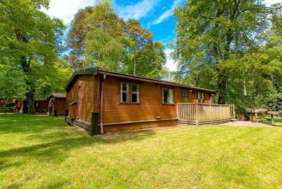 Georgia home.media.0