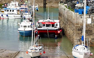 Newquay Sea Safaris and Fishing, Newquay image