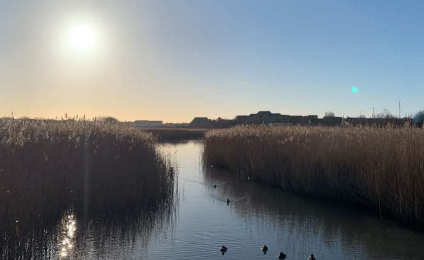 RSPB Weymouth Wetlands image