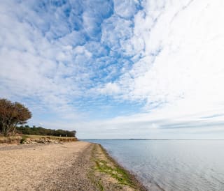 The 10 best beaches in Essex
