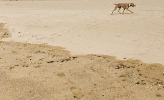 Dinas Dinlle Beach image