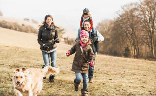 Countryside walks image