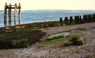 Lepe circular image