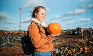 Barkston Pumpkins & Maze image