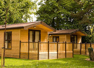 Comfort Wooden Lodge image
