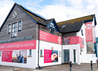 The National Lobster Hatchery image