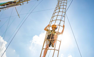 High ropes and zip wire adventure image