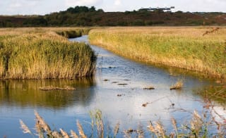 Essex Way Stage 4 Terling to Coggeshall image