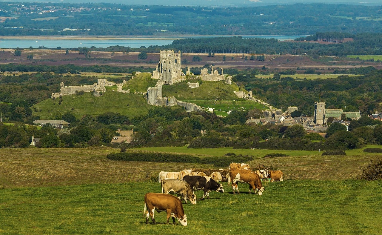 Corfe Castle image