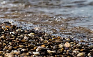 Browndown Point Beach image