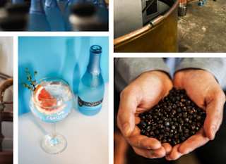 Tarquin's Gin Distillery image
