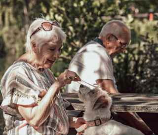 Pet-friendly breaks
