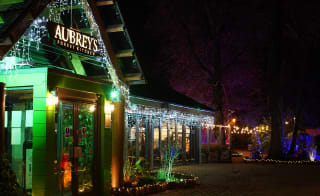 Forest of Light - from 1st Nov-2nd Jan image