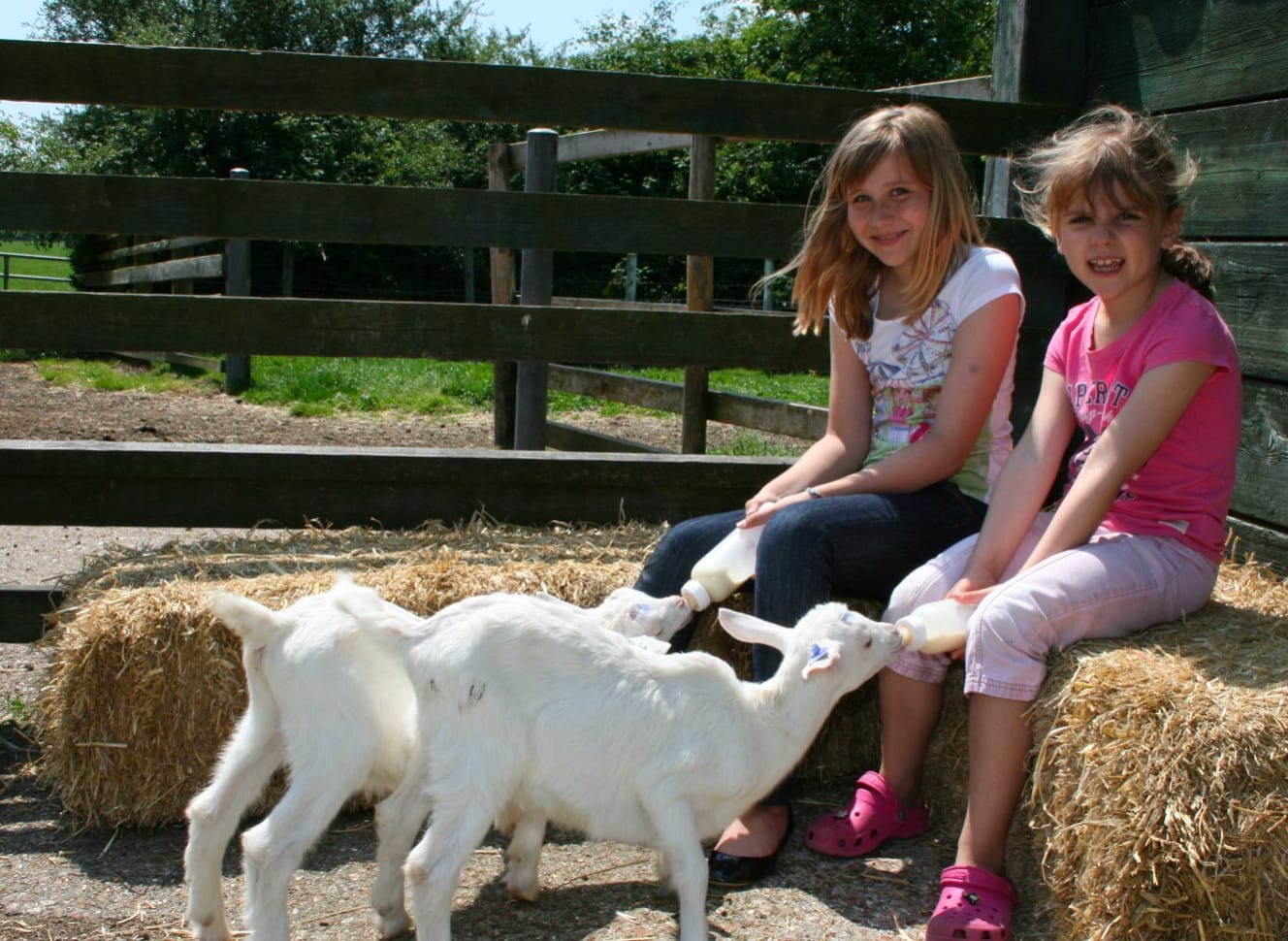 Longdown Activity Farm image