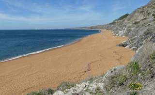 Niton image