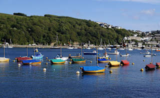 Fowey image